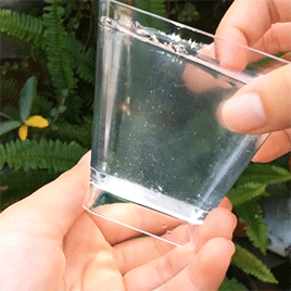 기분좋아지는 짤 | 인스티즈