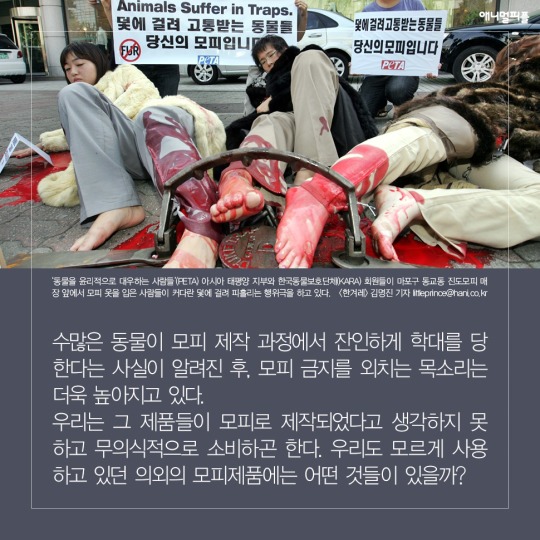 일상에 스며든 동물학대 생산품들 | 인스티즈