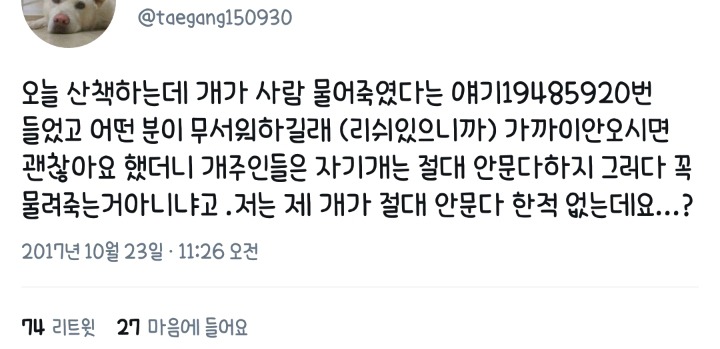 최시원 사건 이후 목줄을 해도 시비털리는 견주들 | 인스티즈