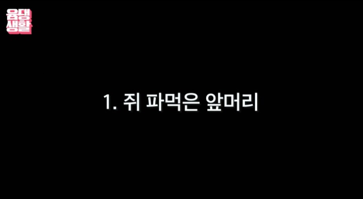 윰댕님 사주 | 인스티즈