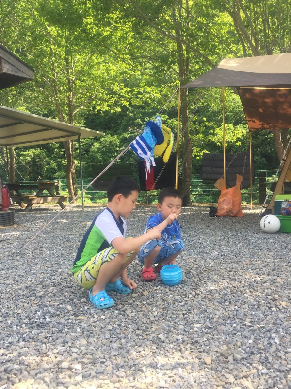 와라캠핑장 이미지