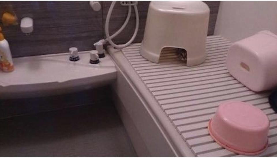 목욕하기 싫은 고양이 | 인스티즈