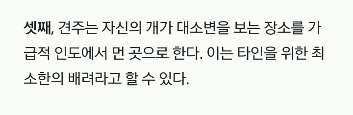 미국인들의 개 산책 문화 | 인스티즈