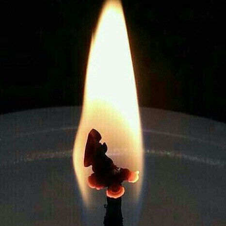 피어,나 이미지