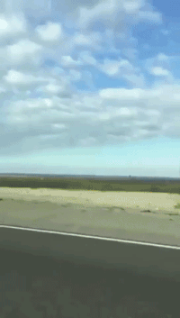 한국 과자.gif | 인스티즈