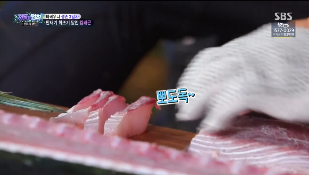 오늘자 정글의법칙 이태곤 회뜨기 클라스 | 인스티즈