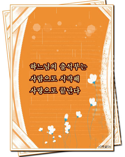 콩깍지 이미지