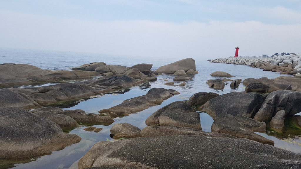 Daum카페