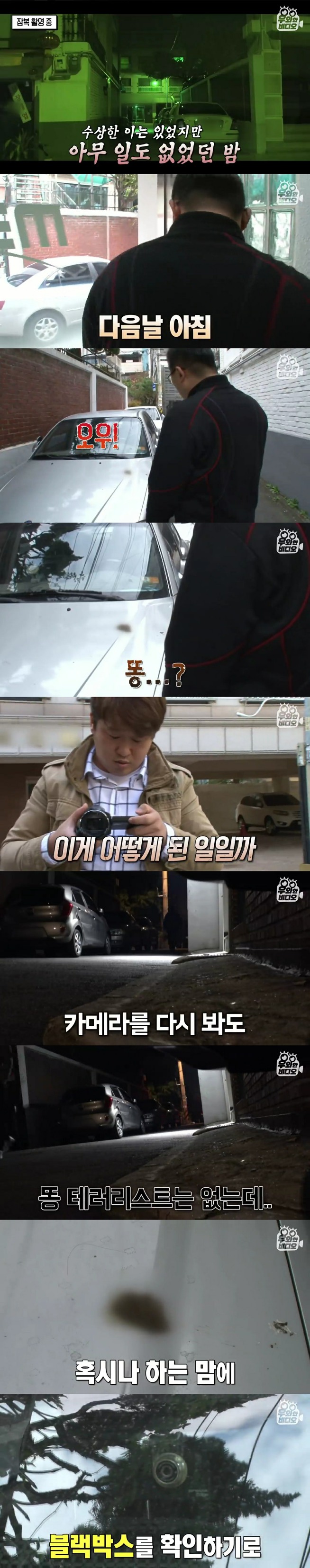 골목에 똥을 던져서 CCTV를 설치해봤더니 | 인스티즈