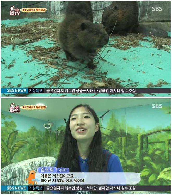 아기 비버의 이름.jpg | 인스티즈