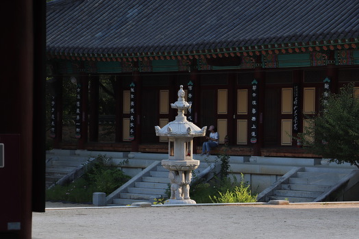 시공화 이미지