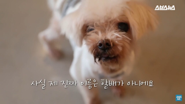  사람들이 홍대에서 인형을 뽑다 우는 이유는? | 인스티즈