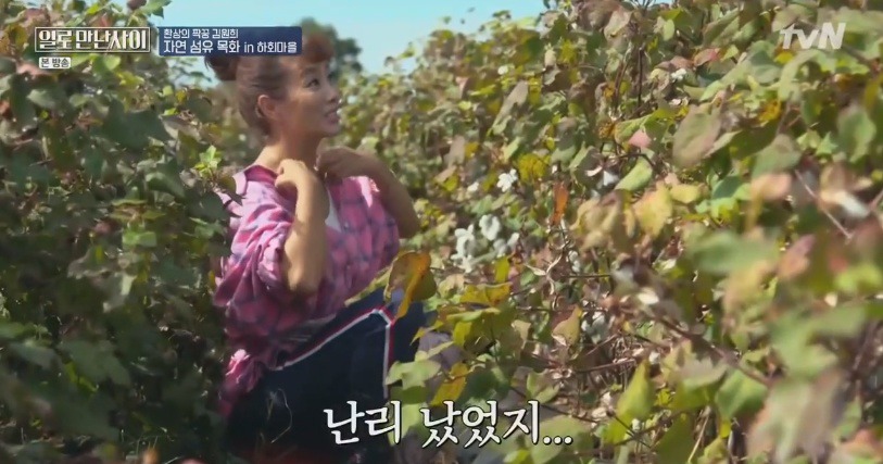 김원희 결혼식에서 욕하고 싸움났던 기자들 | 인스티즈