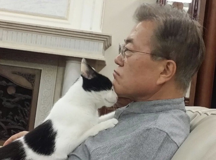 자연과 모든 동식물을 사랑하시는 문재인 대통령 일화 | 인스티즈