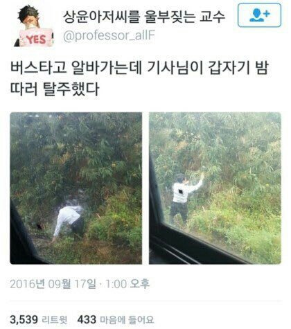 웃긴짤 모음집 | 인스티즈