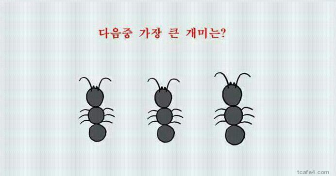 착시 레전드 | 인스티즈