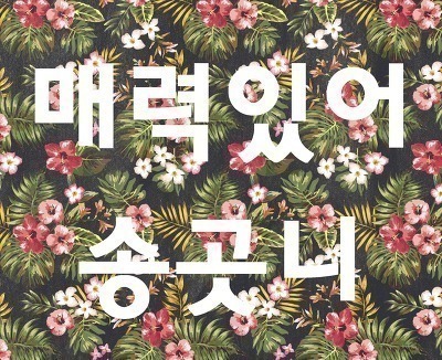 트와이스 고화질 기사 사진 32장.jpg | 인스티즈