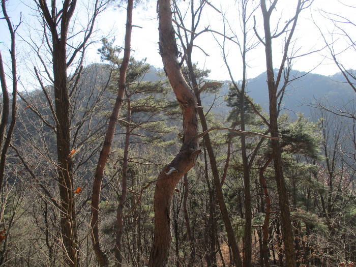 지봉산 이미지