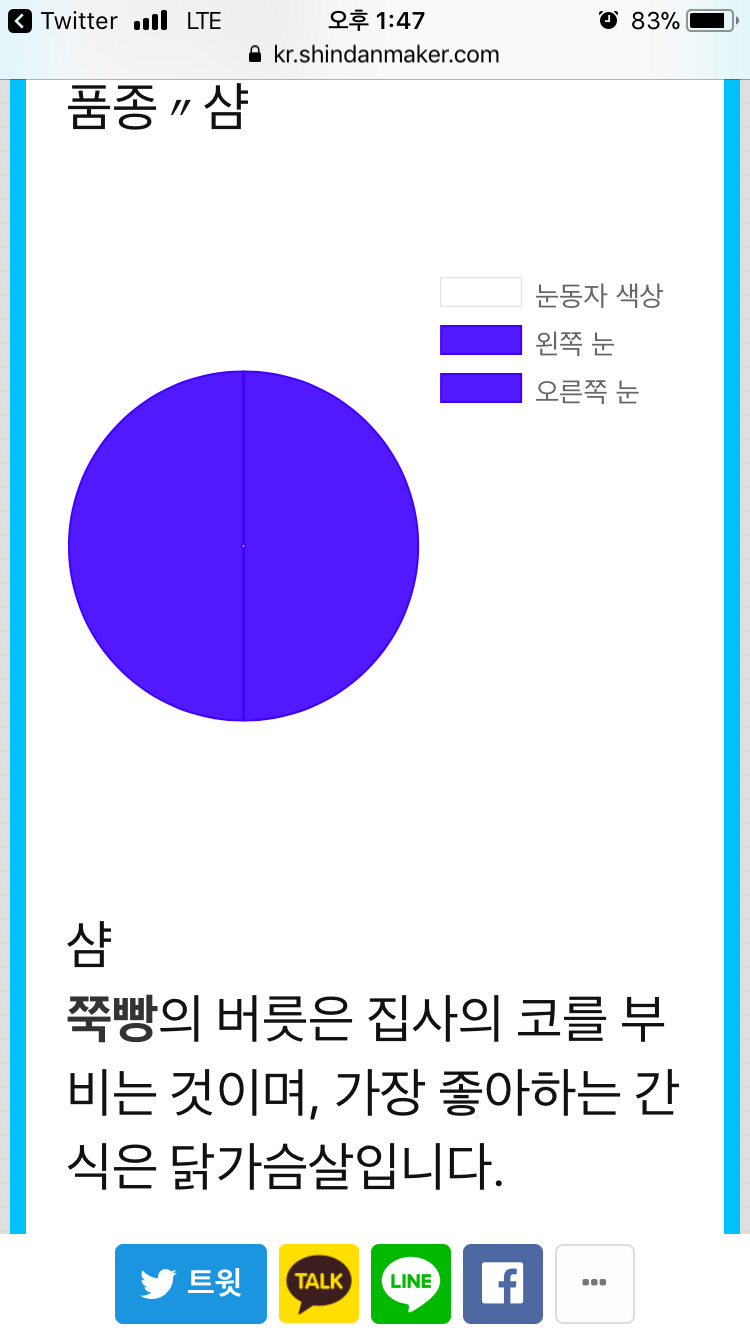 짜잔- 당신은 고양이가 되었습니다! | 인스티즈