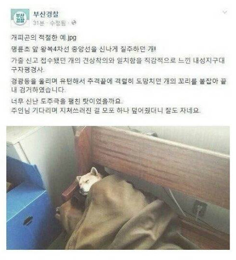 부산지방경찰청 이미지
