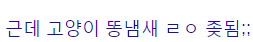 이쯤되면 어느정도인지 궁금해지는 고양이 똥냄새. jpg | 인스티즈