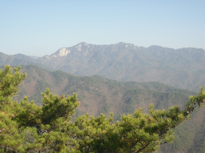 광바위 주유소 이미지