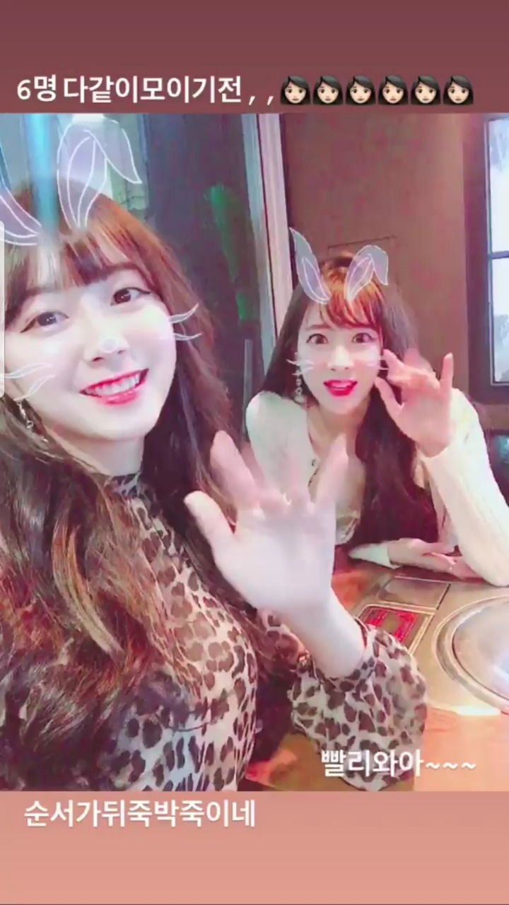 안지현 등 치어리더 | 인스티즈