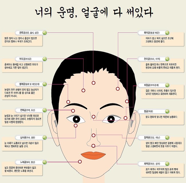 사주나 관상 믿는다 vs 안믿는다 | 인스티즈
