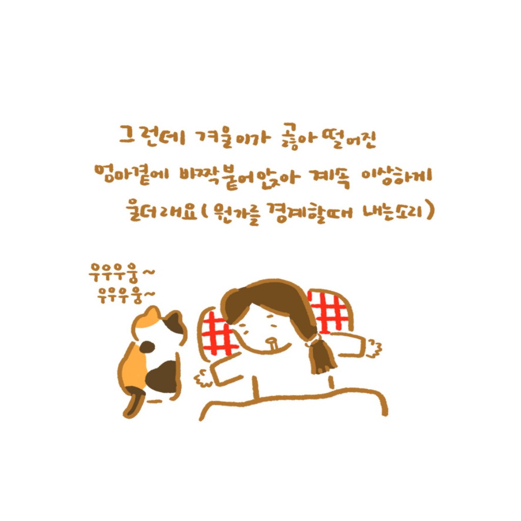 은혜갚은 고양이 겨울이 ㅜ.ㅜ | 인스티즈