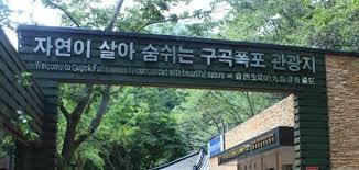 강촌화원 이미지