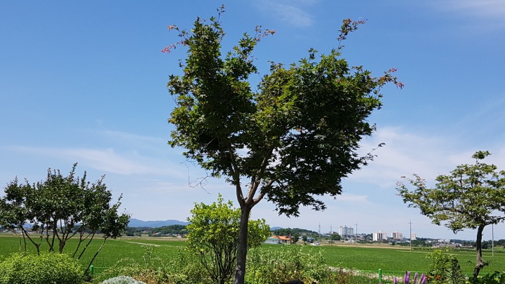 솔뫼석주원 이미지