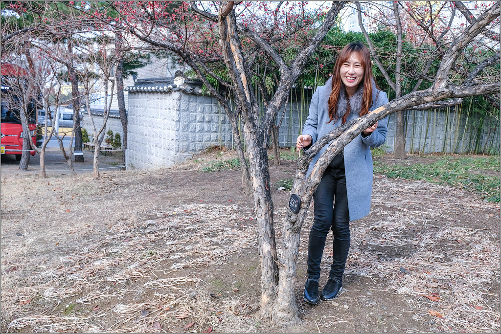 동미 이미지