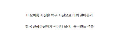 한국의 한 애견샵에 열받은 중국인들 | 인스티즈