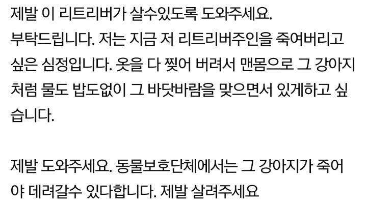네이트판 추천수 2000넘고 난리난 강아지 학대 고발글 | 인스티즈
