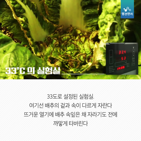 온난화가 그냥 더워지는 것만 문제가 아님. 밥이랑 과일 같은게 없어짐.jpg | 인스티즈