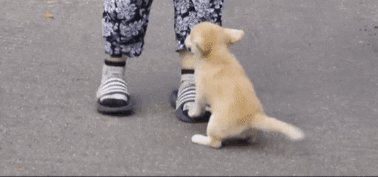 마성의 친화력 짱절미.gif | 인스티즈
