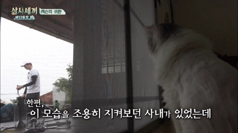 [삼시세끼] 처음 본 잭슨 때문에 놀라서 귱집사 팔 꼬옥 붙드는 고양이 쿵이.gif | 인스티즈