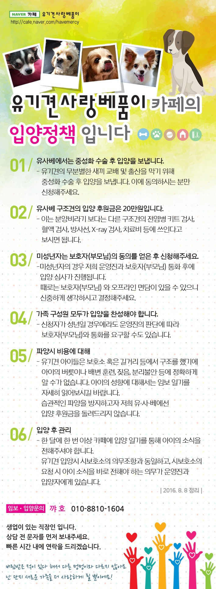 가족을 찾고 있는 중이에요! 다들 저희 한번 보고 가실래요? 유기견이지만 너무 사랑스러운 아이들 좀 뵈줘! | 인스티즈