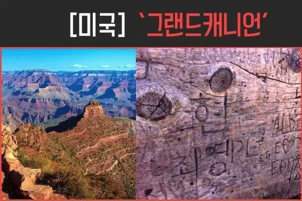 외국 나가서도 들통나는 시민의식 | 인스티즈