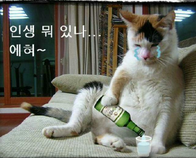 애주가 이미지