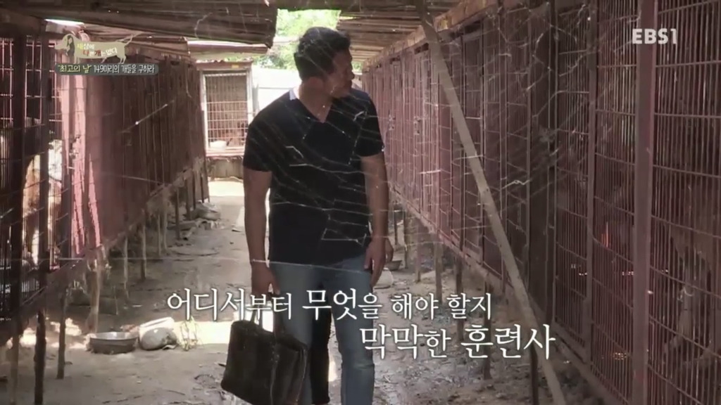 어떻게 사람을 그렇게 좋아할 수 있죠? | 인스티즈