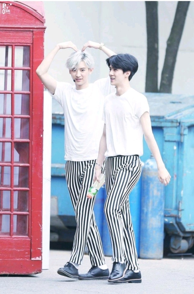 굿차이 이미지