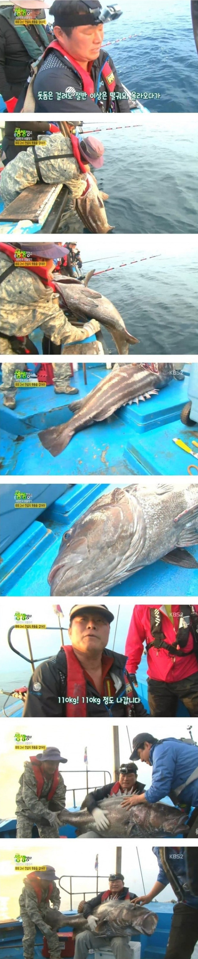 한마리 500만원짜리 낚시.jpg | 인스티즈