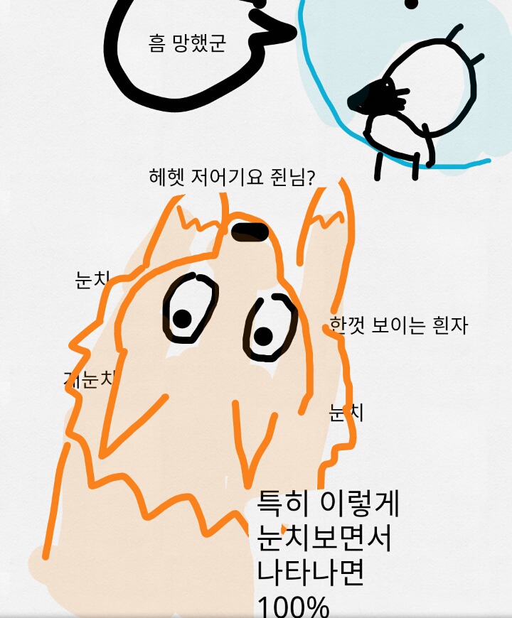 댕댕이가 조용한 만화 | 인스티즈