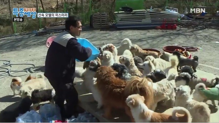 엔젤모텔 이미지