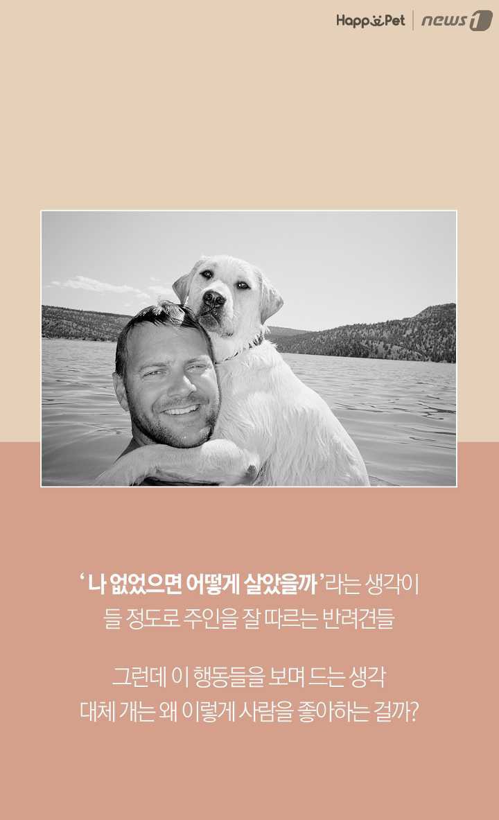 개들은 왜 처음보는 사람도 좋아할까? (이유충격) | 인스티즈