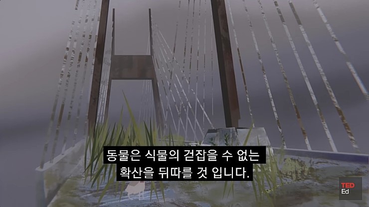  어느날 모든 인류가 갑자기 사라진다면.jpg | 인스티즈