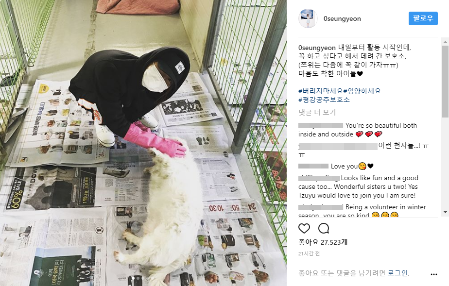 유기견 보호소 봉사활동하러 간 유자매 모모.jpgif | 인스티즈