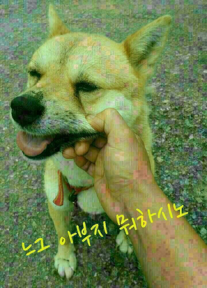 나도 이미지