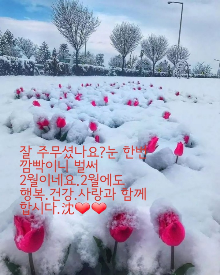 봄소리 이미지
